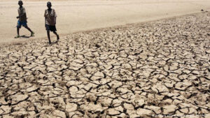 Read more about the article Millions in East Africa Face Starvation Due to Drought | The African Exponent.