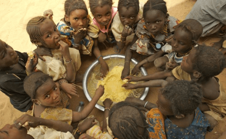 You are currently viewing African Leaders Urged to Tackle Food Insecurity Across the Continent | The African Exponent.