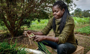 Read more about the article ‘Invest in women for agricultural growth’