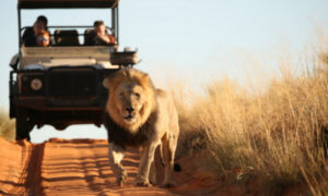Read more about the article Namibia continues to attract tourists