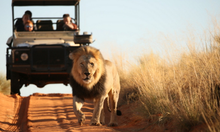 You are currently viewing Namibia continues to attract tourists