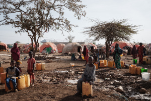Read more about the article UN warns famine ‘at the door’ in Somalia