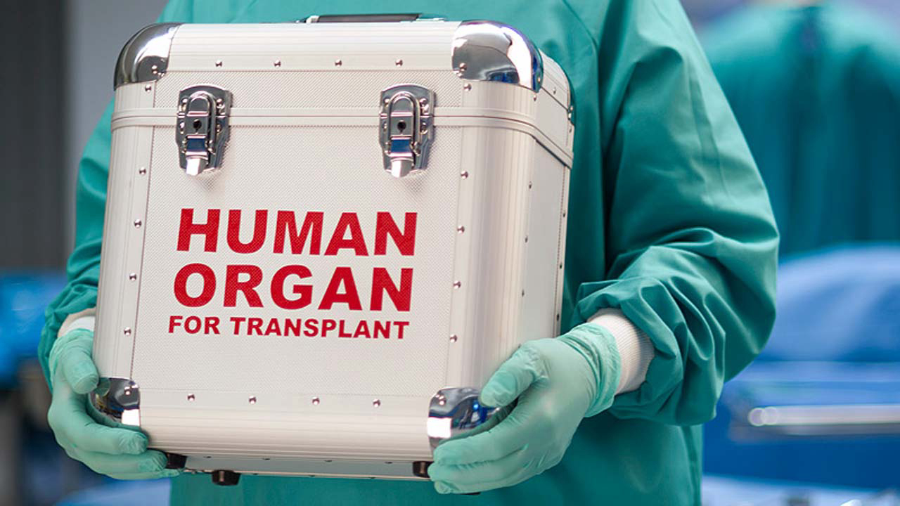 Read more about the article Ugandan Citizens May Soon Receive Organ Transplants Domestically | The African Exponent.
