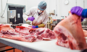 Read more about the article Good animal health can unlock NCA meat potential