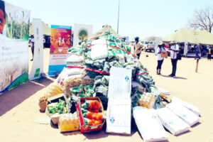 Read more about the article Namibian households face uphill battle to get food