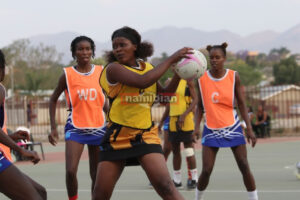 Read more about the article Netball top flight ends in acrimony