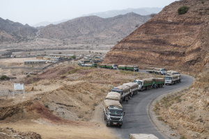 Read more about the article Ethiopia govt says aid flowing to Tigray but rebels deny