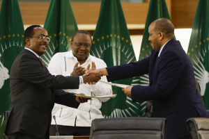 You are currently viewing Ethiopia warring parties agree to cease hostilities