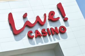 Read more about the article How Do Live Casinos Work? | The African Exponent.