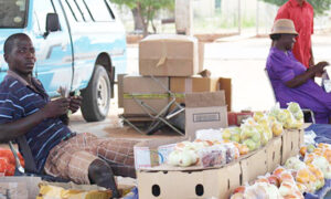 Read more about the article Local authorities neglect informal traders – Iipumbu