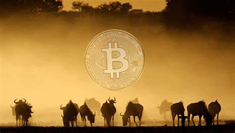 You are currently viewing Why Africa Could be the Next Frontier for Cryptocurrency | The African Exponent.