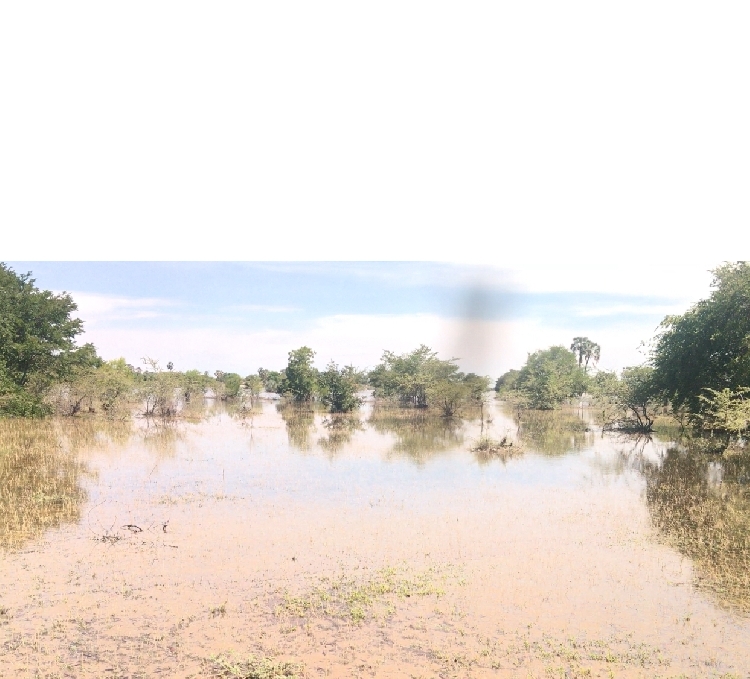 You are currently viewing Flood arrives in Oshana region