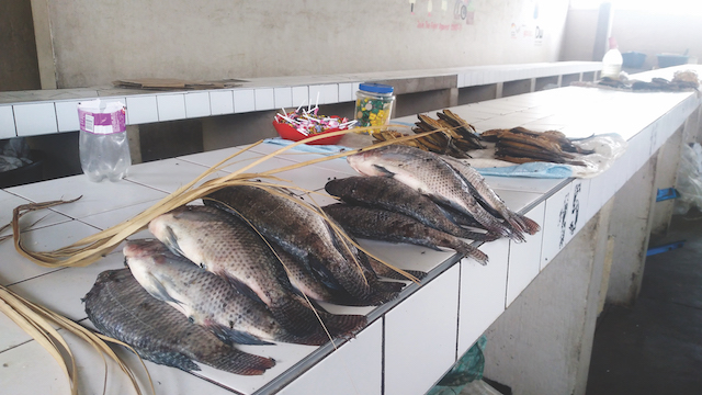 You are currently viewing Katima fish vendors rely on Zambian farmers for stock