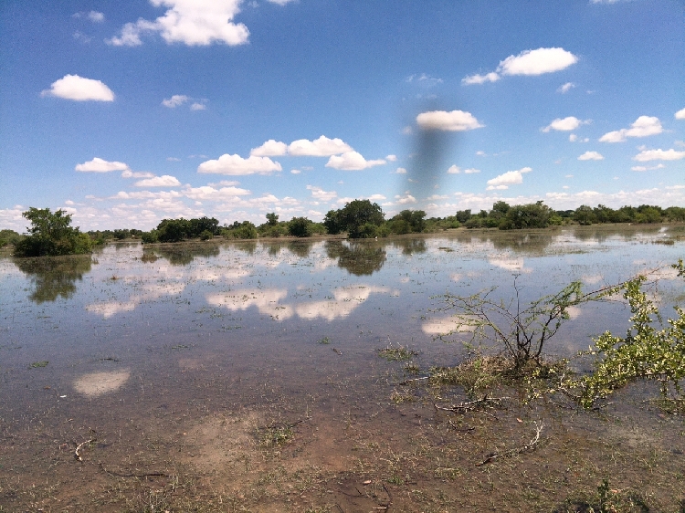 You are currently viewing Police caution Ohangwena region residents about flood water