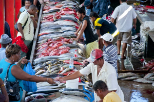 Read more about the article Seychelles sees significant drop in inflation rate for 2022