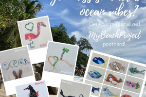 Read more about the article MyBeachProject turns Seychelles’ waste to pop art