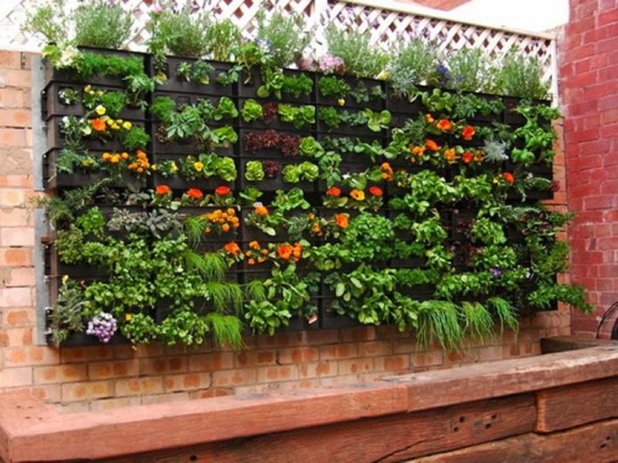 You are currently viewing The Benefits of Vertical Gardens, and How to Start One | The African Exponent.