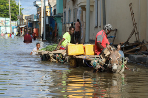 Read more about the article Flooding in Somalia displaces 200,000 people: official