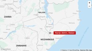 Read more about the article Toddler dead, 23 others missing as hippo capsizes boat in Malawi | CNN