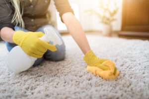 Read more about the article 3 Tips for Cleaning Carpet Stains | The African Exponent.