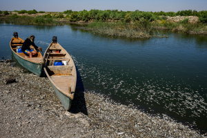 Read more about the article Dead fish wash up on riverbank in drought-hit Iraq