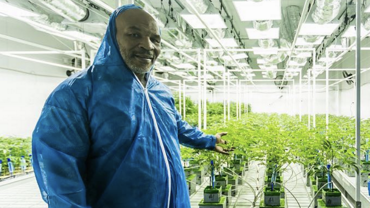 Read more about the article Why Malawi Asked Mike Tyson to be its Cannabis Ambassador
