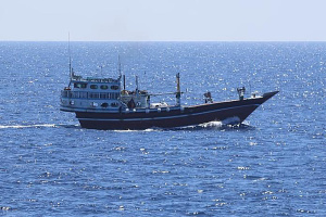 Read more about the article Indian Ocean naval forces rescue two boats from Somali pirates