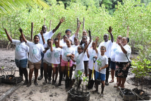 You are currently viewing World Wetlands Day: Seychelles celebrates with planting of mangrove trees